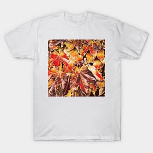 Vivid Autumn Leaves T-Shirt